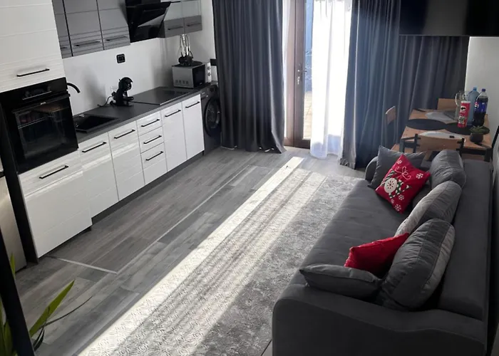 Modern,ideal Pentru 2 Cupluri Sau O Familie Cu 2 Copii * Craiova